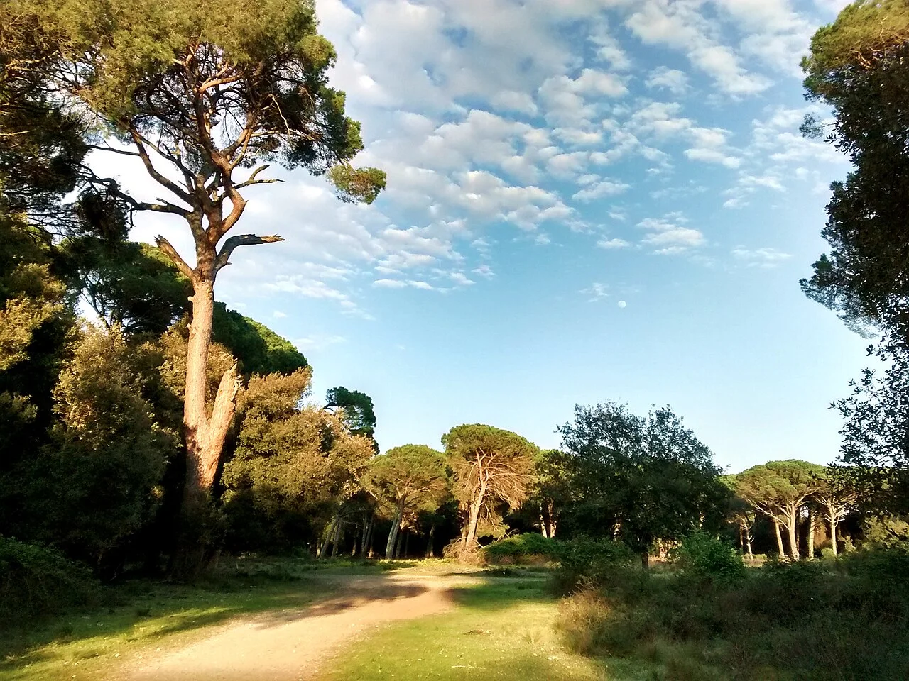 Parco Migliarino San Rossore