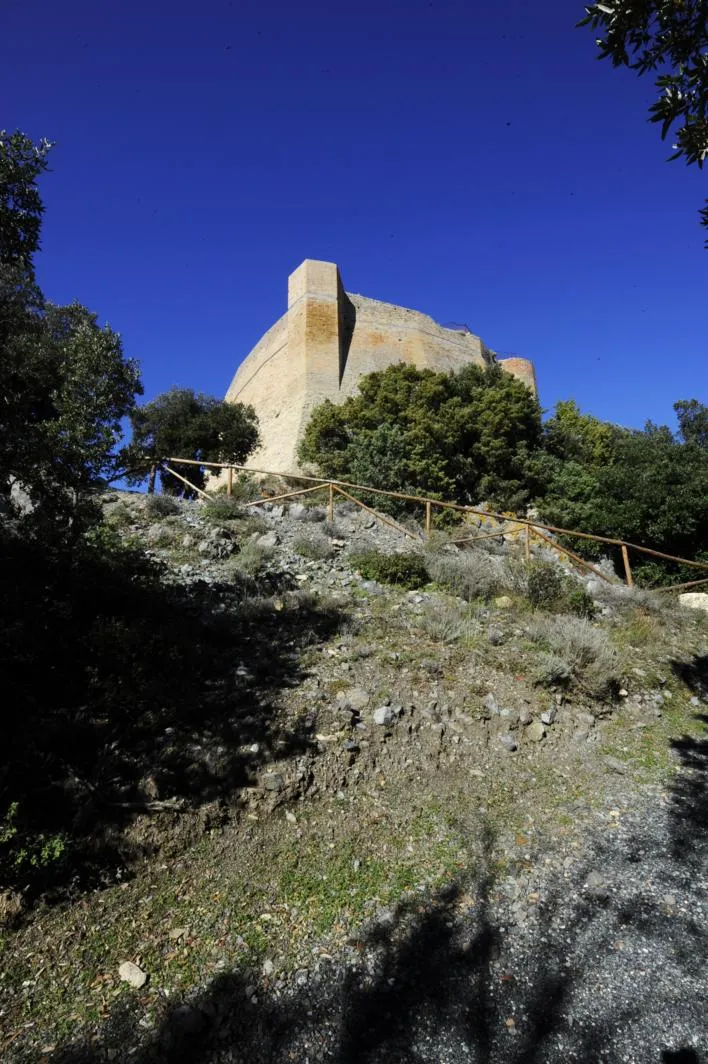 Montescudaio